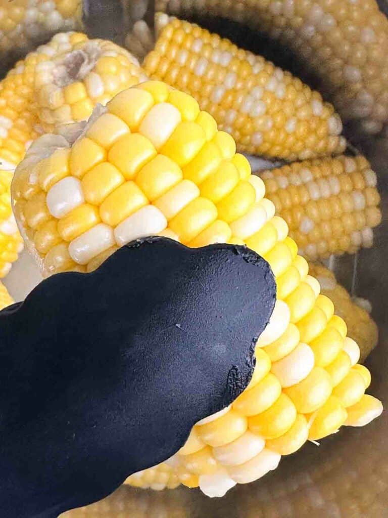 Cooked corn on the cob being held with tongs.